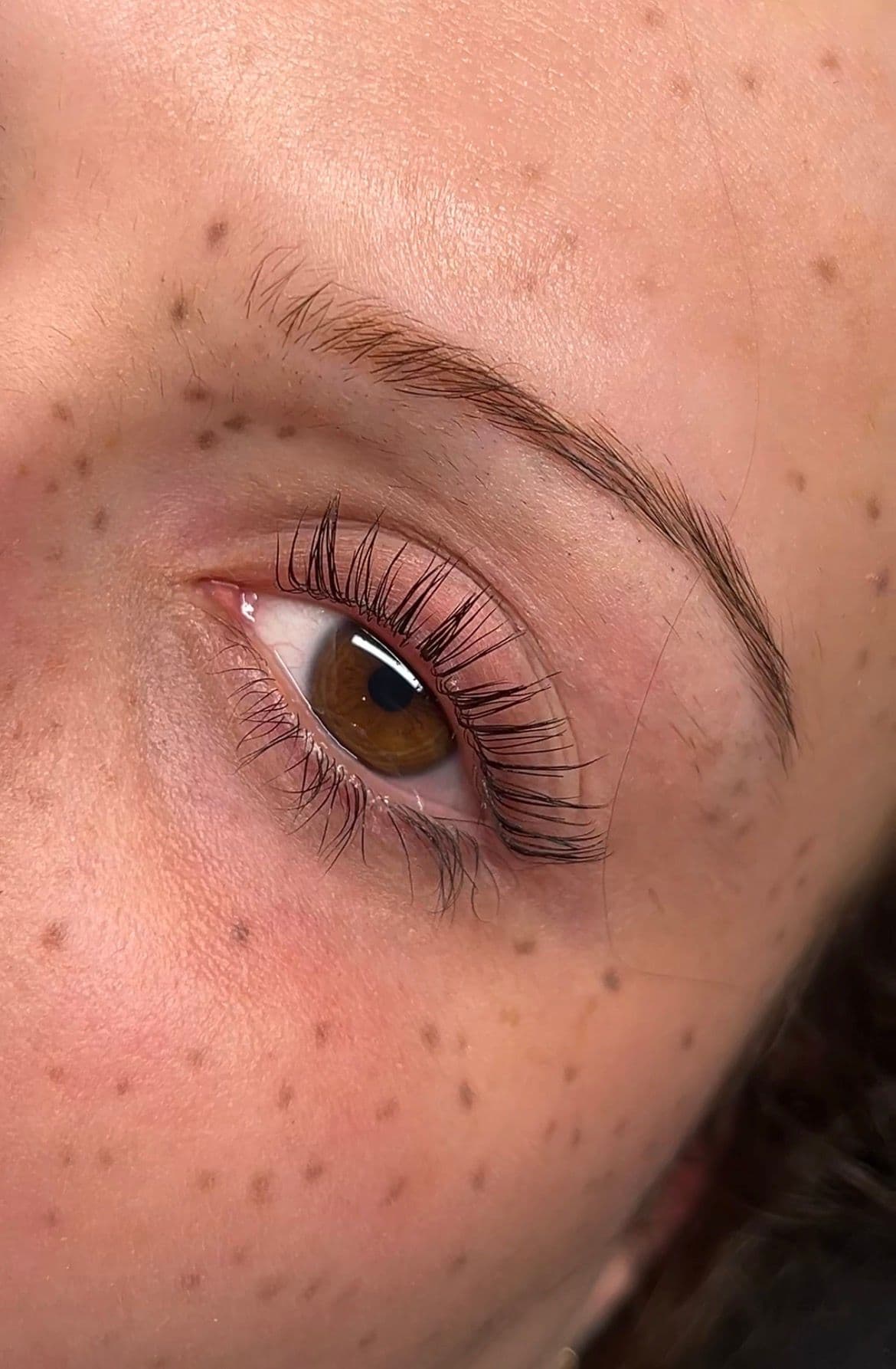 Lashlifting